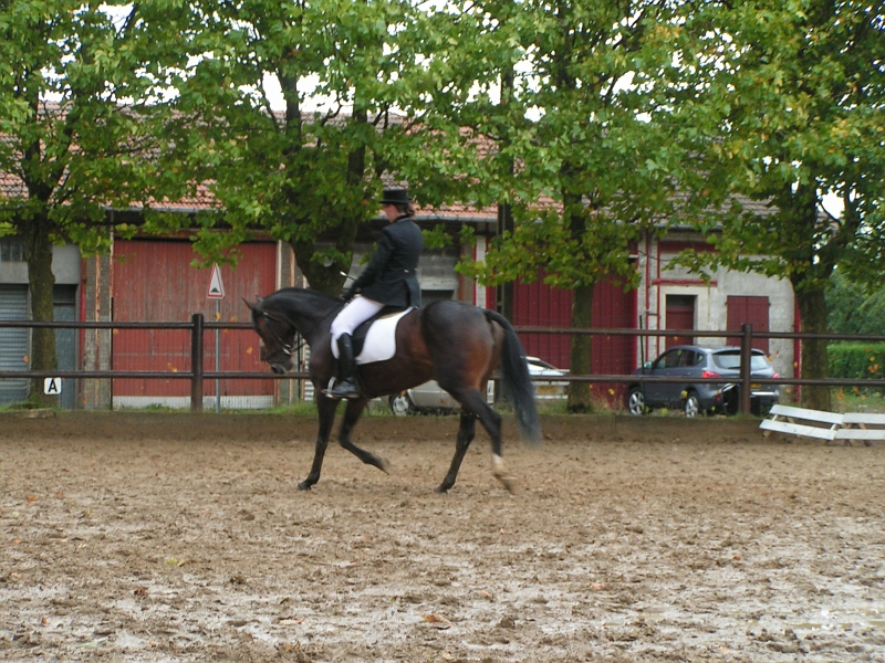 PO 2008 (5).jpg